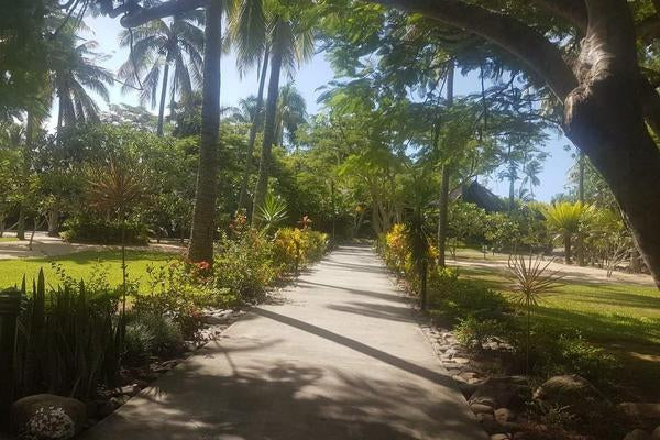 Fires, viruses, slumps in tourism and the economy. How we need to adjust our spending habits.-Aggie Global Australia