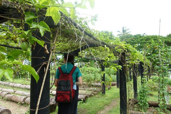 Interview with Humans of Agriculture-Aggie Global Australia