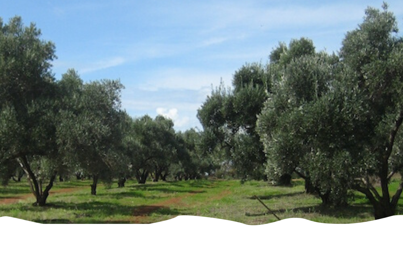 Drought and its Impact on Family Run Farms