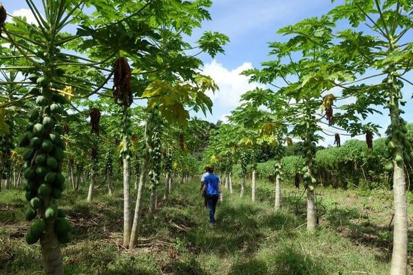 Why Agriculture?-Aggie Global Australia