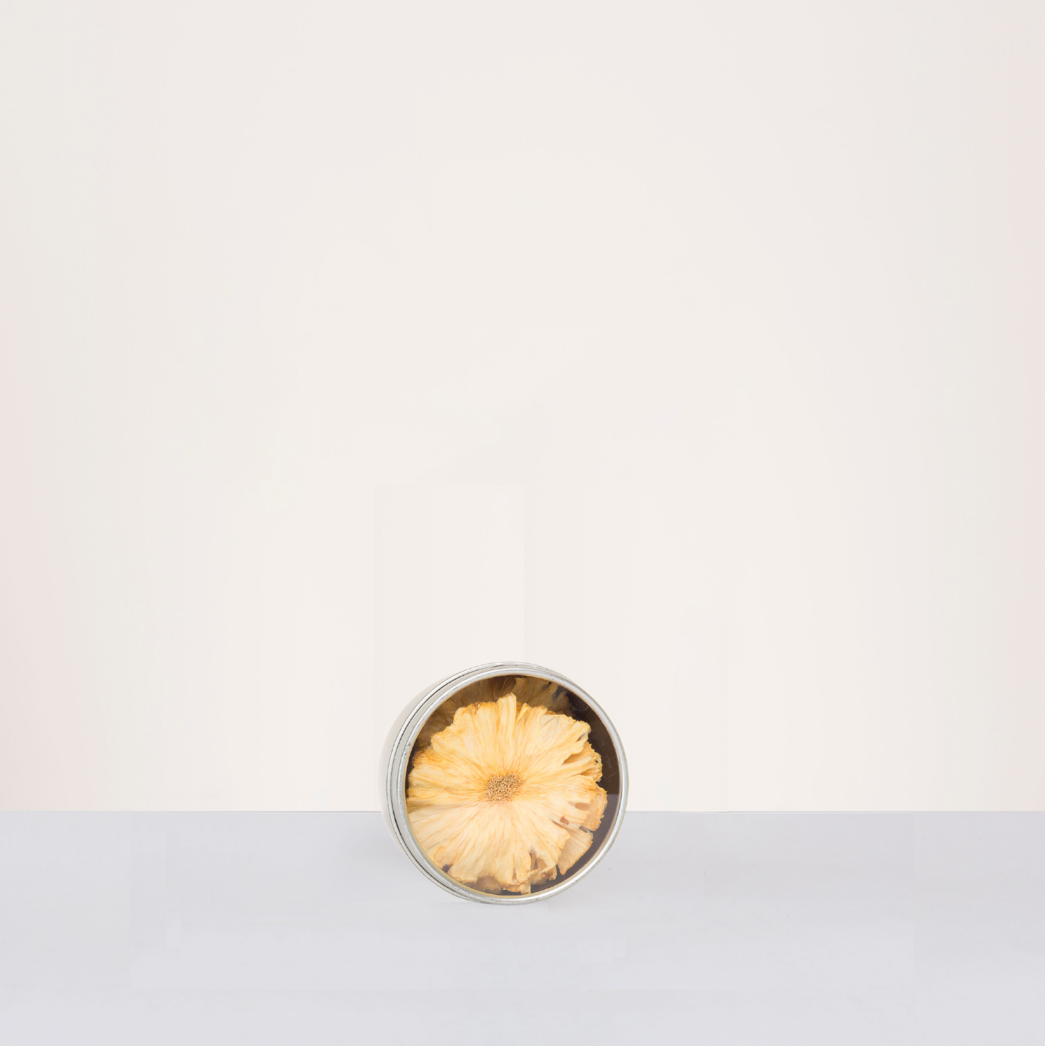 Dried Fruit Garnish (Violet & Gold)-Violet and Gold-Aggie Global Australia